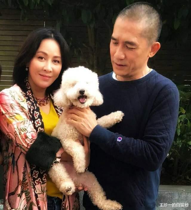 |10对丁克港星夫妻,各有各的故事,有2男星背着老婆在外偷偷生娃