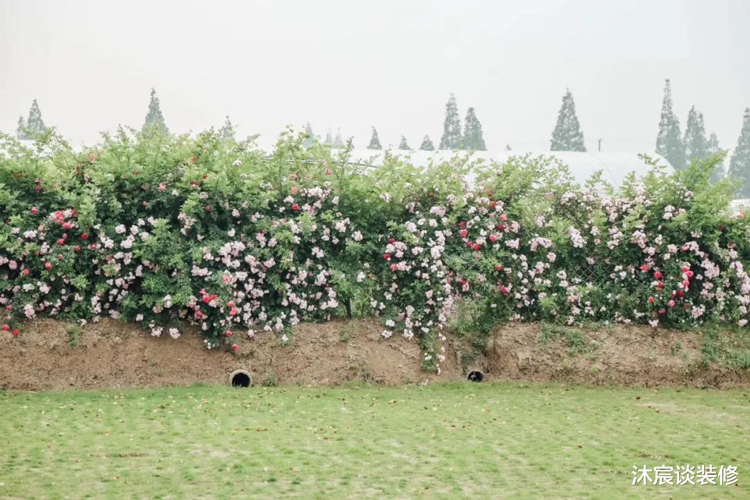 沐宸谈装修|18岁，你可能还在为学习的事发愁，而她却过上人人向往的田园生活