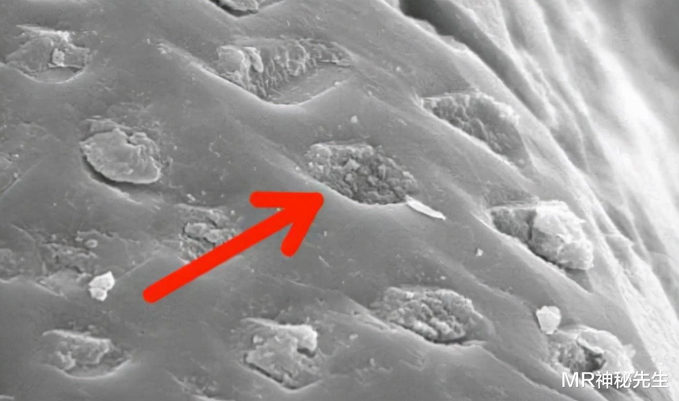 外星人 宇宙中真的存在外星人吗？6大证据确定无误