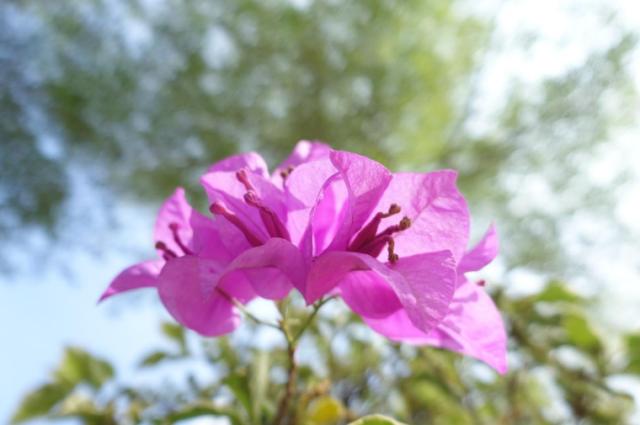 索尼Xperia|索尼 Xperia PRO-I全面评测：Xperia迄今为止最硬核的影像旗舰