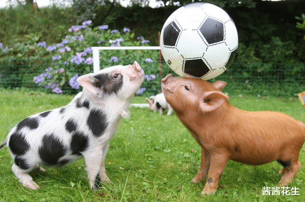 生肖|8月下旬，财神点名，事业兴旺的3生肖，跳出困境，人生即将大逆袭