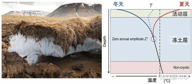 象牙 北极50万吨猛犸象牙引发淘金热，暴力开采，或致远古病毒复活