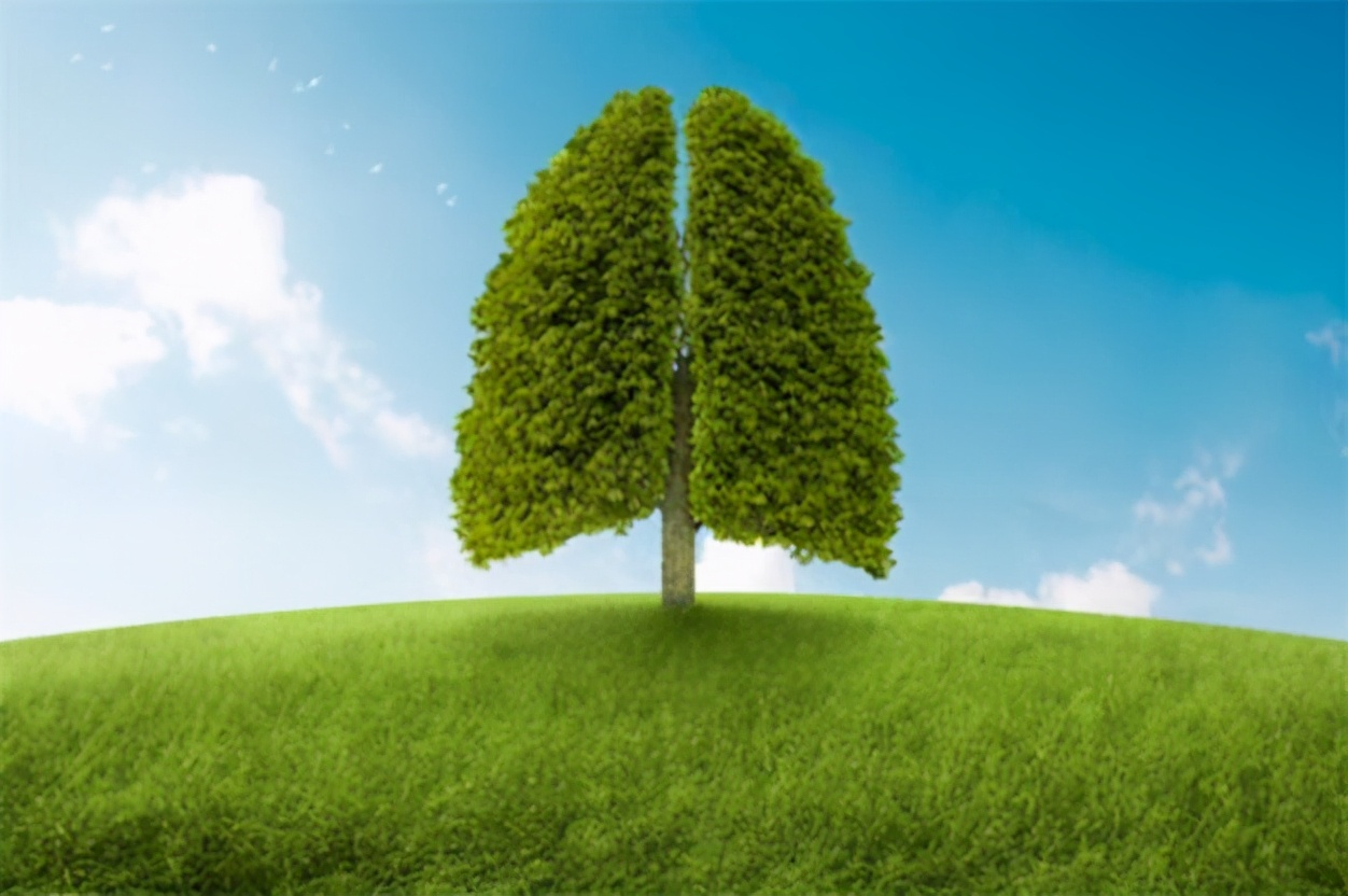 运动|肺不好的人要注意,少吃2物,肺功能会越来越好