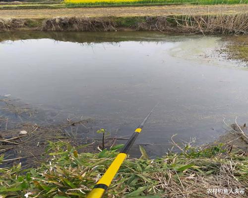 饵料|春季作钓的两大细节,让你上鱼更多,老钓友的经验分享