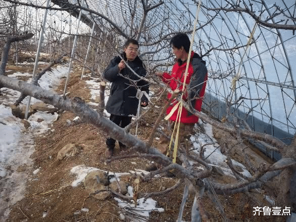 齐鲁壹点 让西水旺庄“旺”起来