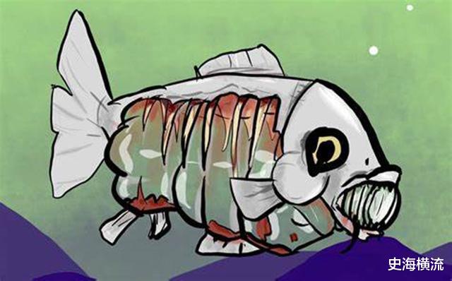 翻车鱼 世界上“最蠢的鱼”，被咬后也不逃跑的翻车鱼，为啥还没灭绝？