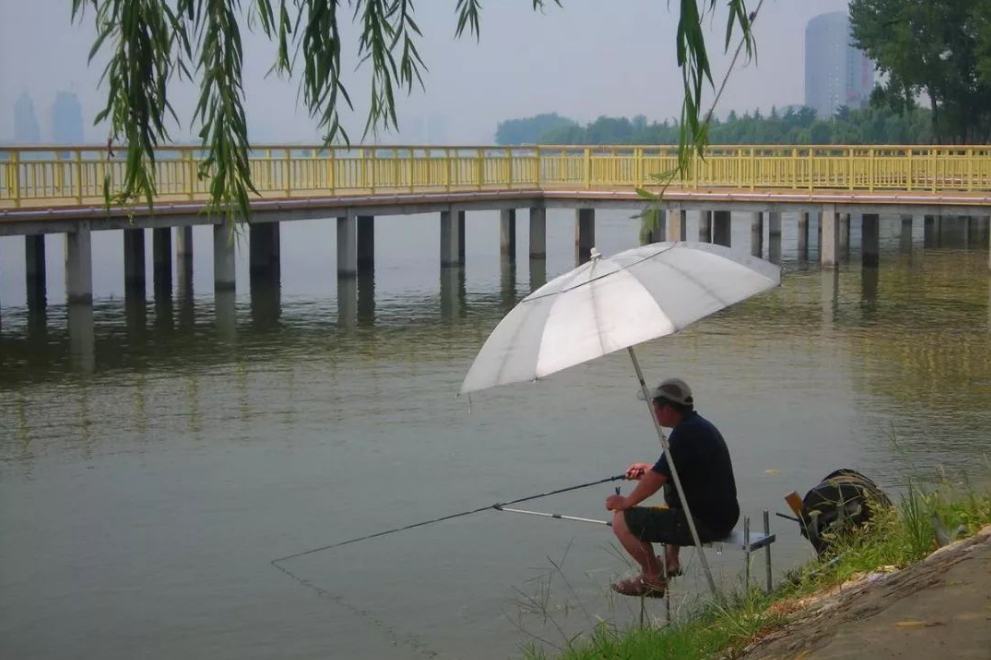 黑鱼|入夏之后，作钓技巧从这7个方面来调整，不愁渔获不够多，莫不信