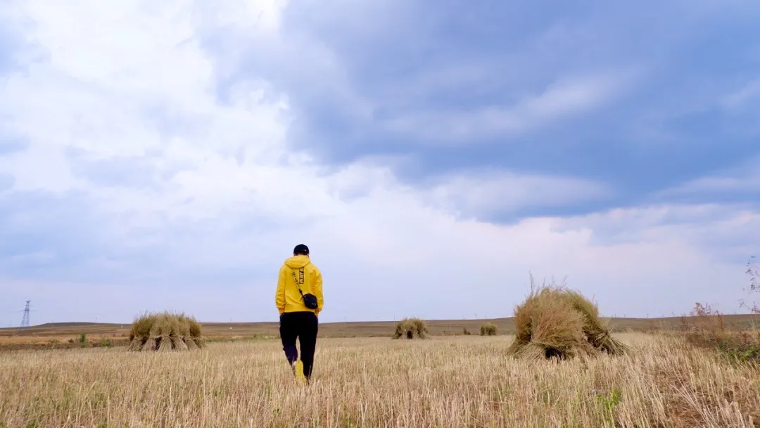 柚子青梅酒|成年人最大的自律，就是不在低层次的圈子，自我消耗