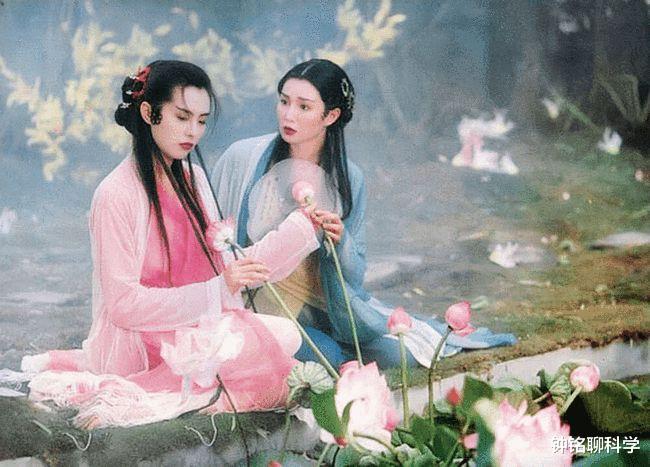 蟒蛇 世界上最大的蛇有多大？被长14米的巨蟒吞食，手持匕首能自救吗？