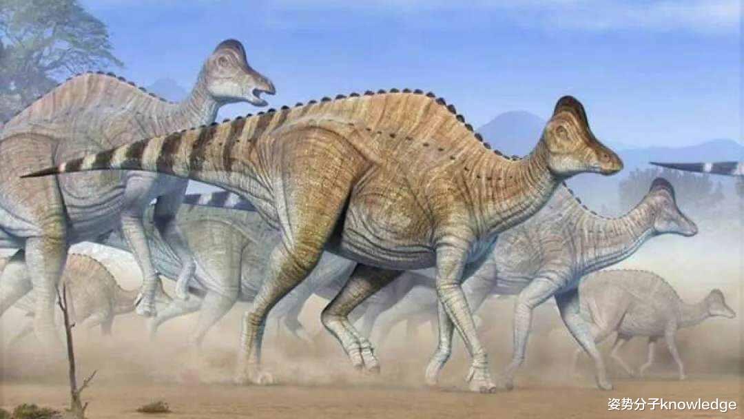 恐龙 1亿年前的恐龙DNA！中国科学家能复活恐龙吗？克隆恐龙难度在哪