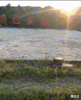 神回复|神回复：狙击手开枪后，假如没有捡走地上的弹壳，后果有多严重？