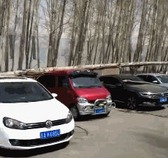  “北大石狮子被人偷袭砍成重伤！到底是何人所为？”