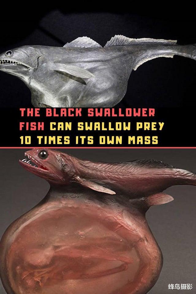  25张活久未见的照片，炸弹在几公里外爆炸，冲击波几秒钟就到眼前