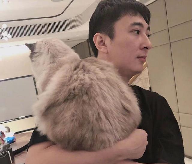 项思醒|项思醒整容前照片曝光，富二代男友退婚后，被曝彩礼已退回