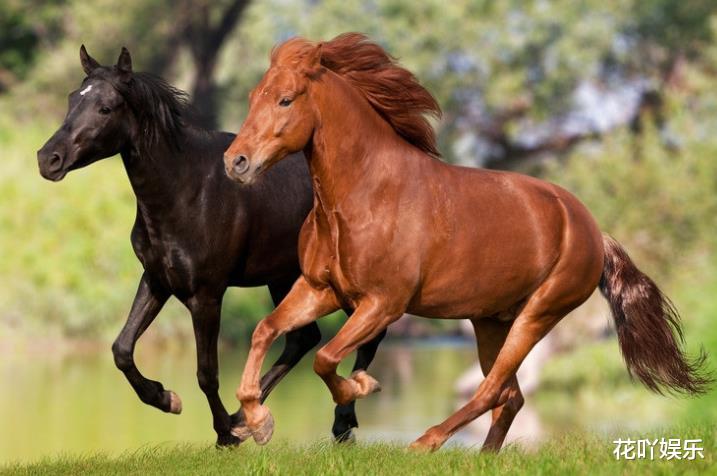 生肖|哪三大生肖，6月不虚度光阴，天天有进步，时时有钱花