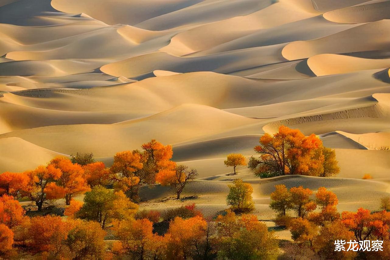 塔克拉玛干沙漠|中国发现地下海洋，就在塔克拉玛干沙漠，储量巨大，为啥不开采？