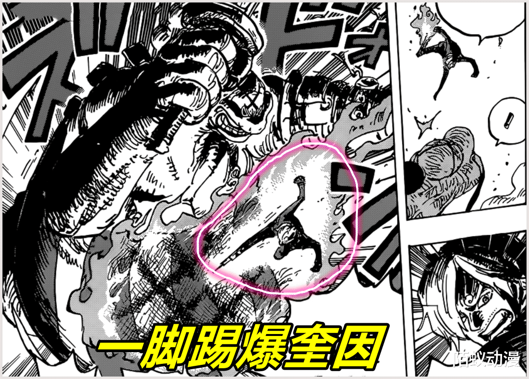 奎因|海贼王1028话：13亿奎因终极变身，腕龙蜕变腕蛇，无视武装色霸气