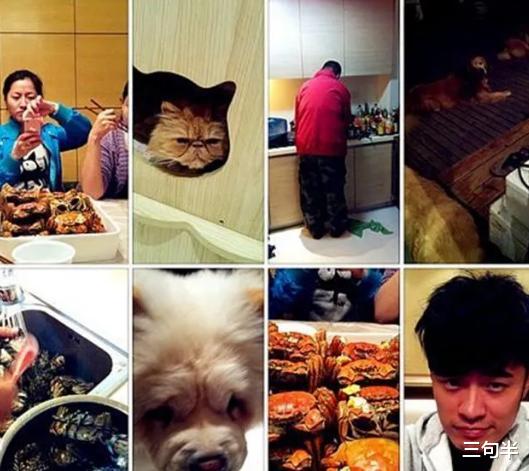 陈赫|35岁陈赫暴瘦20斤，脸仅贾玲一半大，惹沈腾大喊：咋瘦成这样