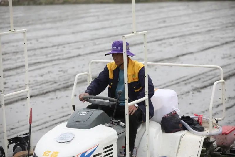 上海奉贤 金汇这个合作社俩人一天种完80亩地，听说现在种粮大户都这么干……