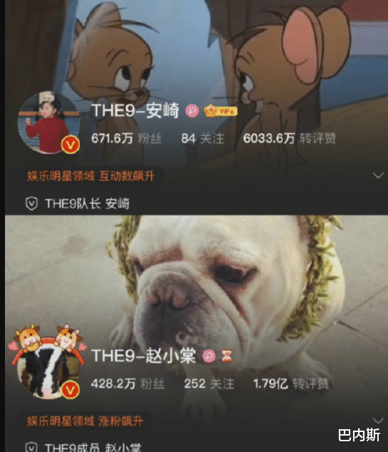 许佳琪|THE9解散对比刚出道时粉丝变化,刘雨欣赢麻了,许佳琪让人意外