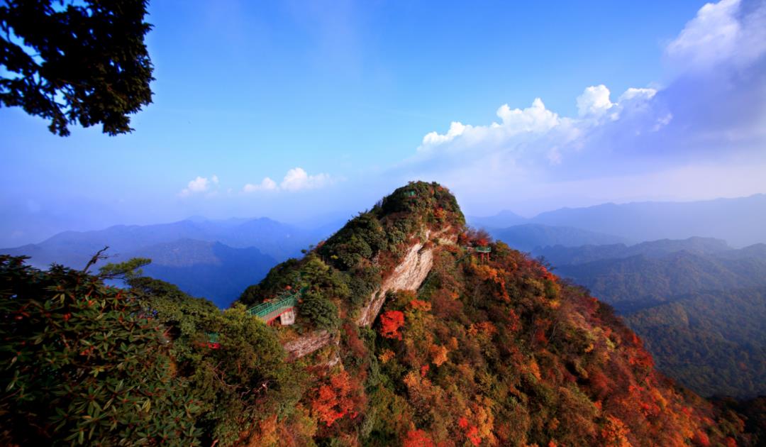 光雾山|「好耍光雾山」待到秋风至，光雾满山红