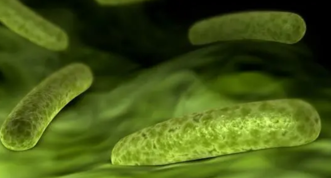 科学家 带你感受速度的世界：光速是已知最快的速度？速度的极限是多少？