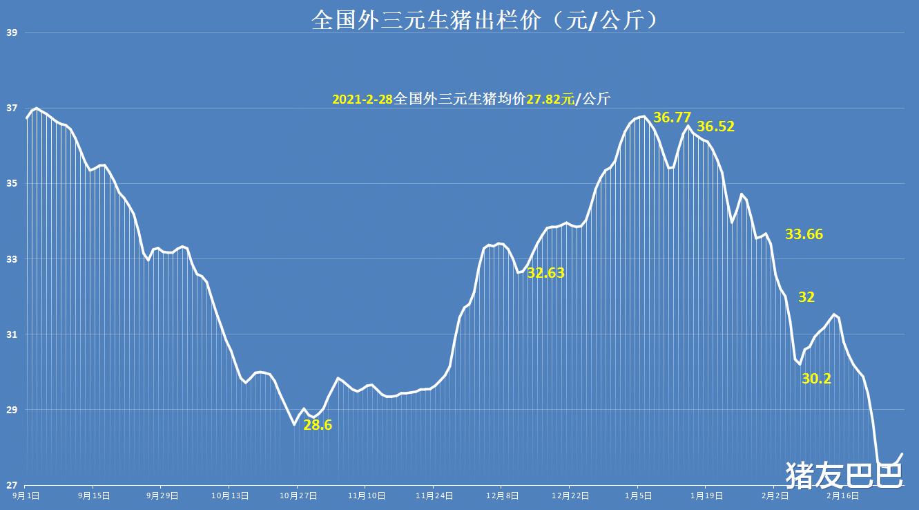 生猪价格 2月28日，猪企压栏奏效，猪价走强行情“一片红”，屠企再压价？
