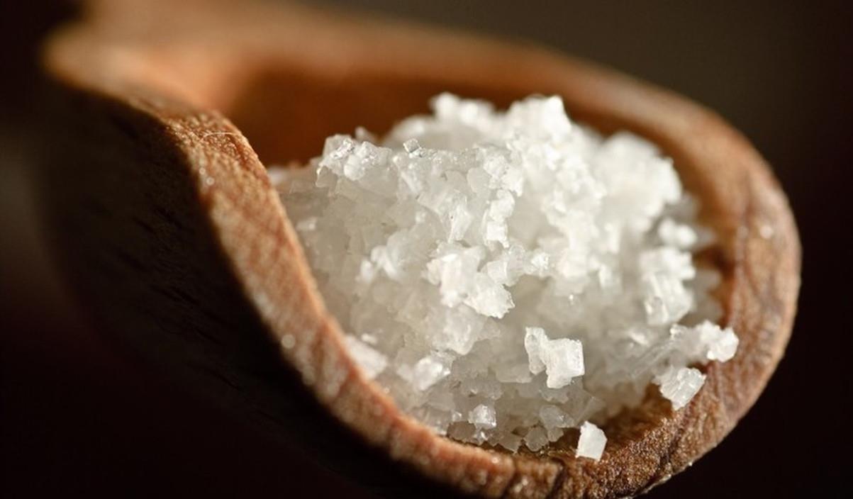 |人类离不开盐，动物难道不需要盐分吗？原始人又如何获得盐分？