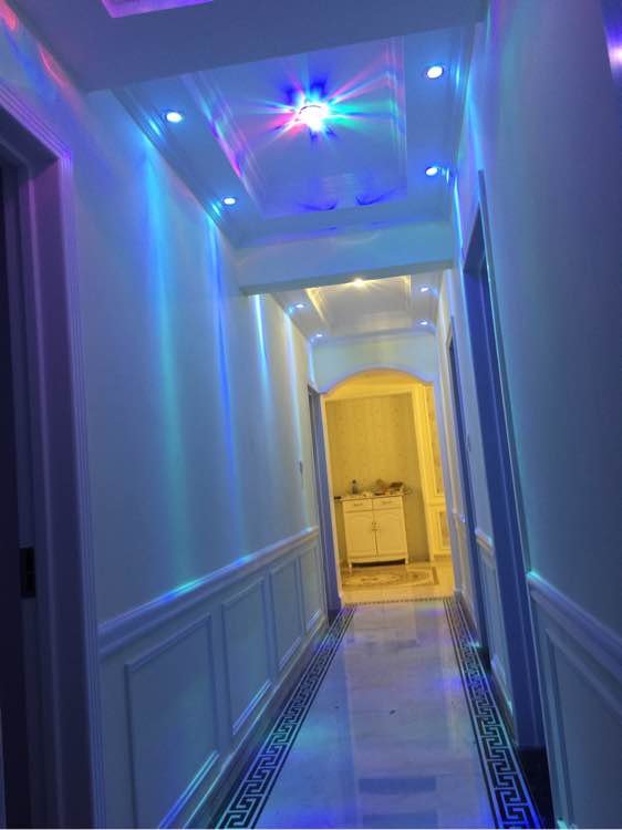 历时半年,老婆用50多万将房子装修成宫殿,我只是心疼我的钱!