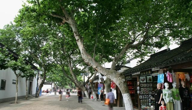 梵恩诗伊宁哥|高层再见？2021年住宅迎来新标准，两类房子吃香了