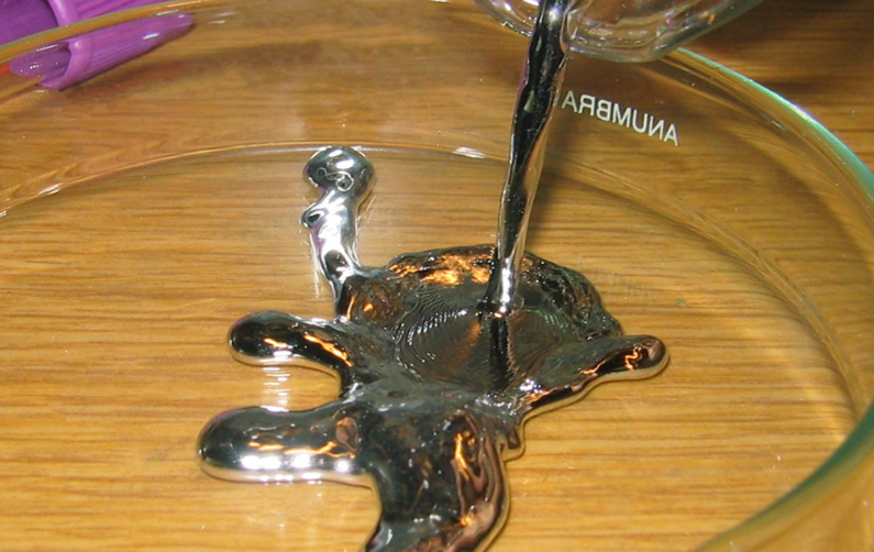 遗骸 北极永冻土现5.7万年前生物遗骸，尖牙清晰可见，人类应提高警惕