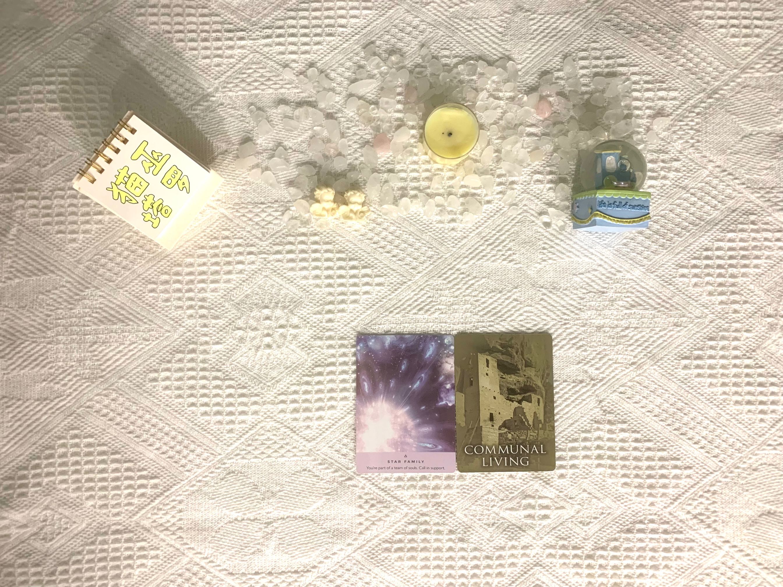 猫巫塔罗|猫巫塔罗:处女座未来半月运势,心与心之间存在着距离,缺乏勇气