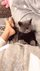 发型 “这位外卖小哥,看到这地图的时候,一定是一脸懵!”