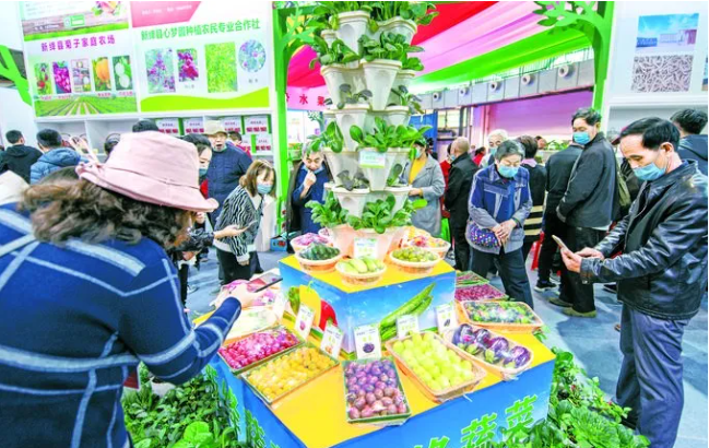 运城 实施“南果”战略，“运城苹果”走上快车道