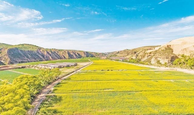 科学家 美科学家发现地球正“变绿”，原因就在中印，但专家对印度很担忧