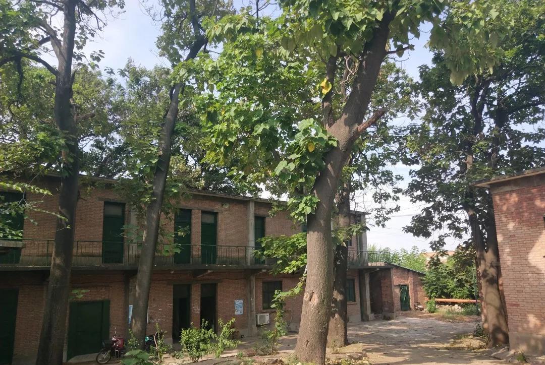 浣花的山房 陕西有座远近闻名的三线厂,曾隶属四机部,如今建筑自生自灭