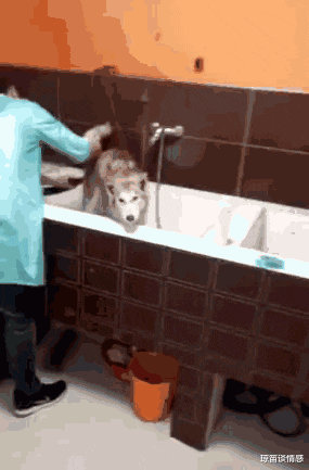 |“古代皇帝为啥大多重用舅舅，却不重用叔叔呢？”你们想让我笑抽啊，哈哈哈哈