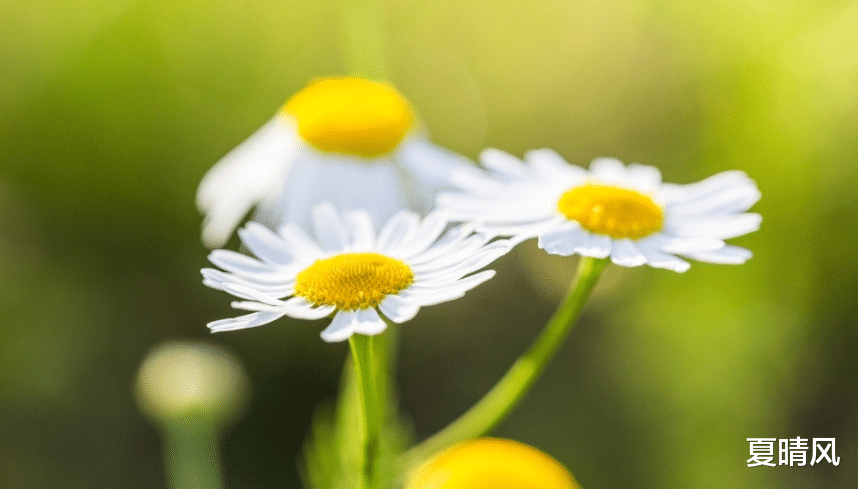  恭喜那些从不发朋友圈的人