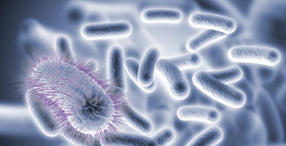  被“神话”的科莫多巨蜥：现存最大的蜥蜴，其真正实力到底如何？