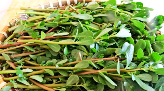 雌激素|经常吃或能“散结”的4种食物，海带排在末尾，第一多数人不了解