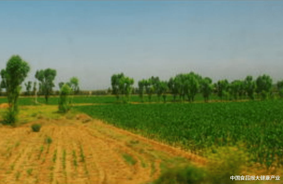 中国食品报大健康产业 促粮增产 助农增收 杭州钱塘区全力整治抛荒地