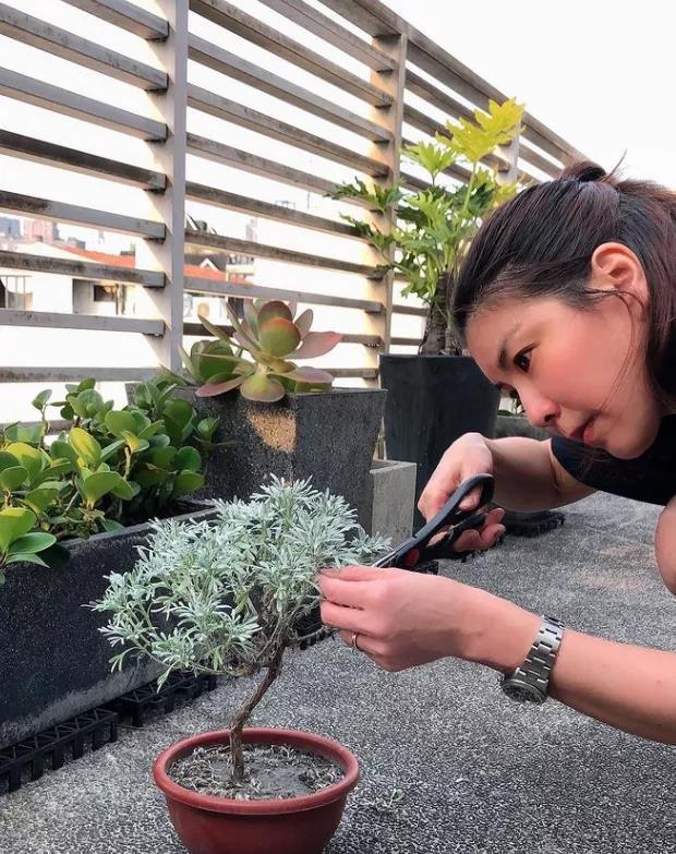 许茹芸|她曾与王菲齐名，却靠结婚翻红，39岁闪婚后，分居7年住小房子