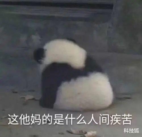 果农 又一大波卖惨网红被封！求求你们做个人吧