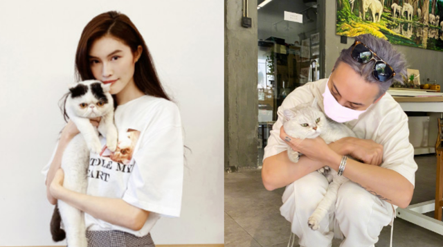 陈伟霆|另类晒恩爱！陈伟霆被爆热恋何穗，半裸热吻照印上潮T遭狂粉投诉