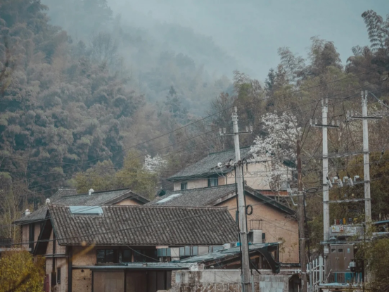 桐庐 杭州“后花园”的桐庐，是烟火人间的“桃花源”，被大自然征服