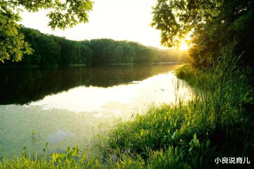 小良说育儿|有梦想的人是怎样的呢
