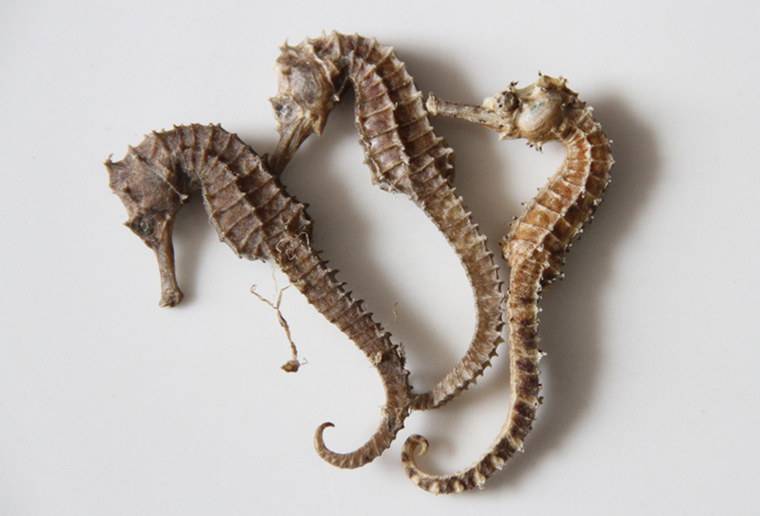 运动|腰酸腿软又怕冷，中医称为肾阳虚，3个办法可以解决问题