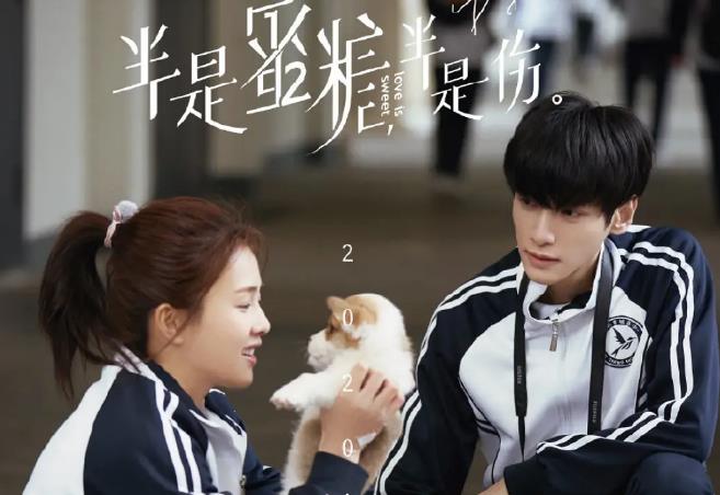 |去年这6部甜宠剧值得回看，全程无虐甜甜的