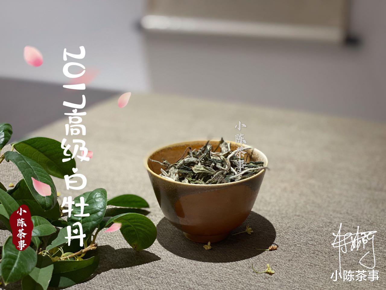 |白茶讲究鲜香醇爽，以“酸”为卖点的梅子香老白茶，咋做出来的？