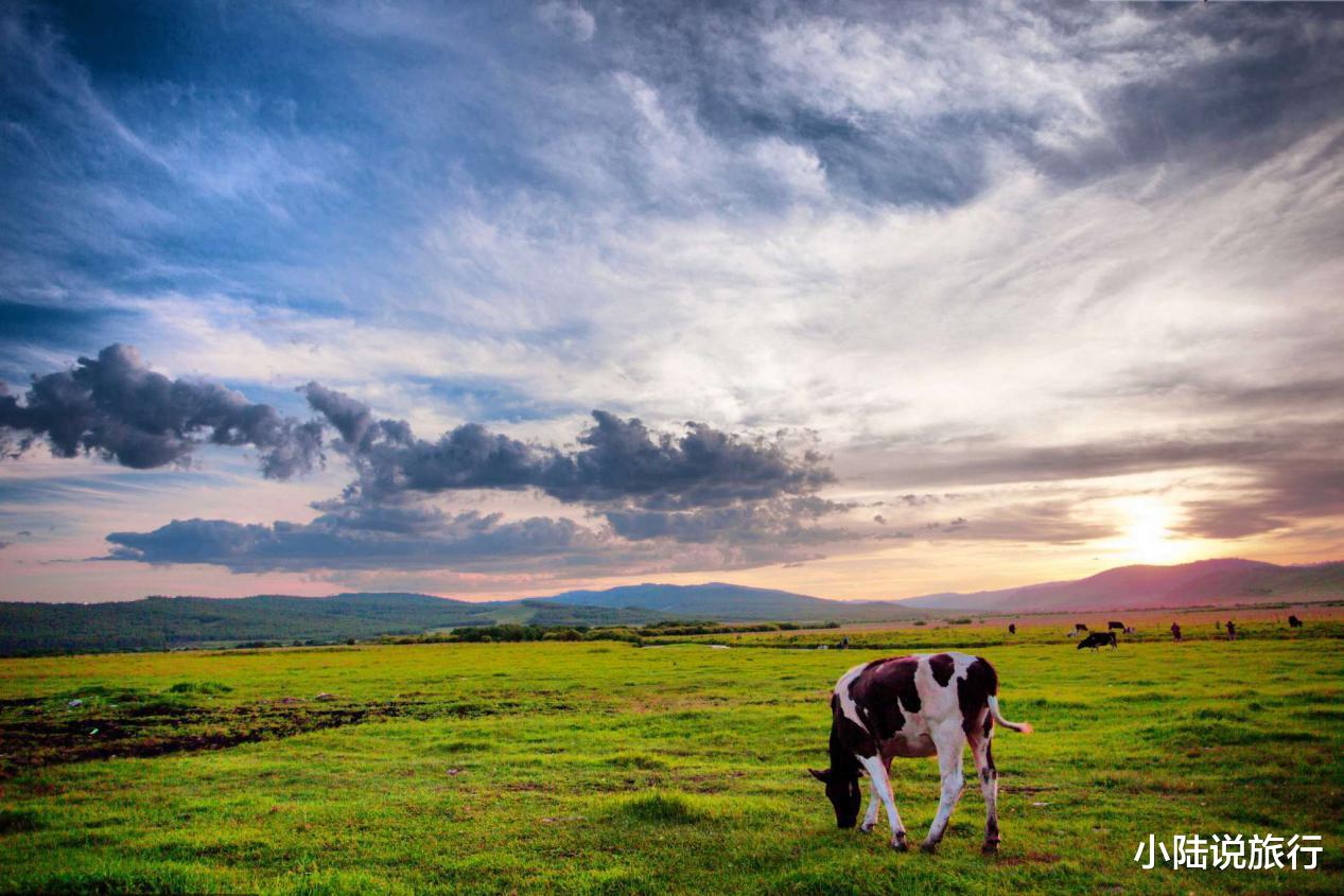 成都 中国必去的50个景点，去过25个已算大神，你去过几个？